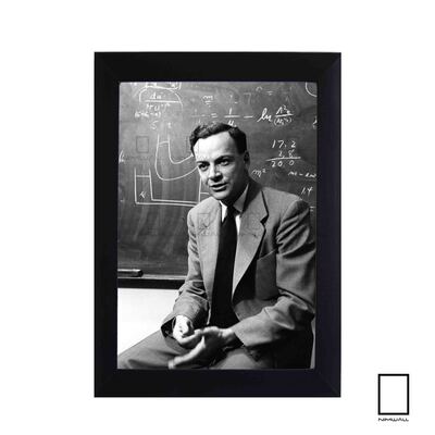 تابلو عکس ریچارد فاینمن Richard Feynman مدل N-25629