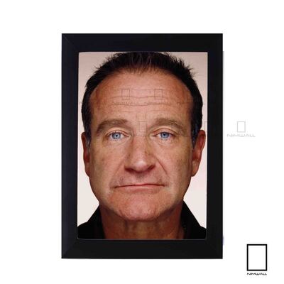 تابلو عکس پرتره رابین ویلیامز Robin Williams مدل N-25750